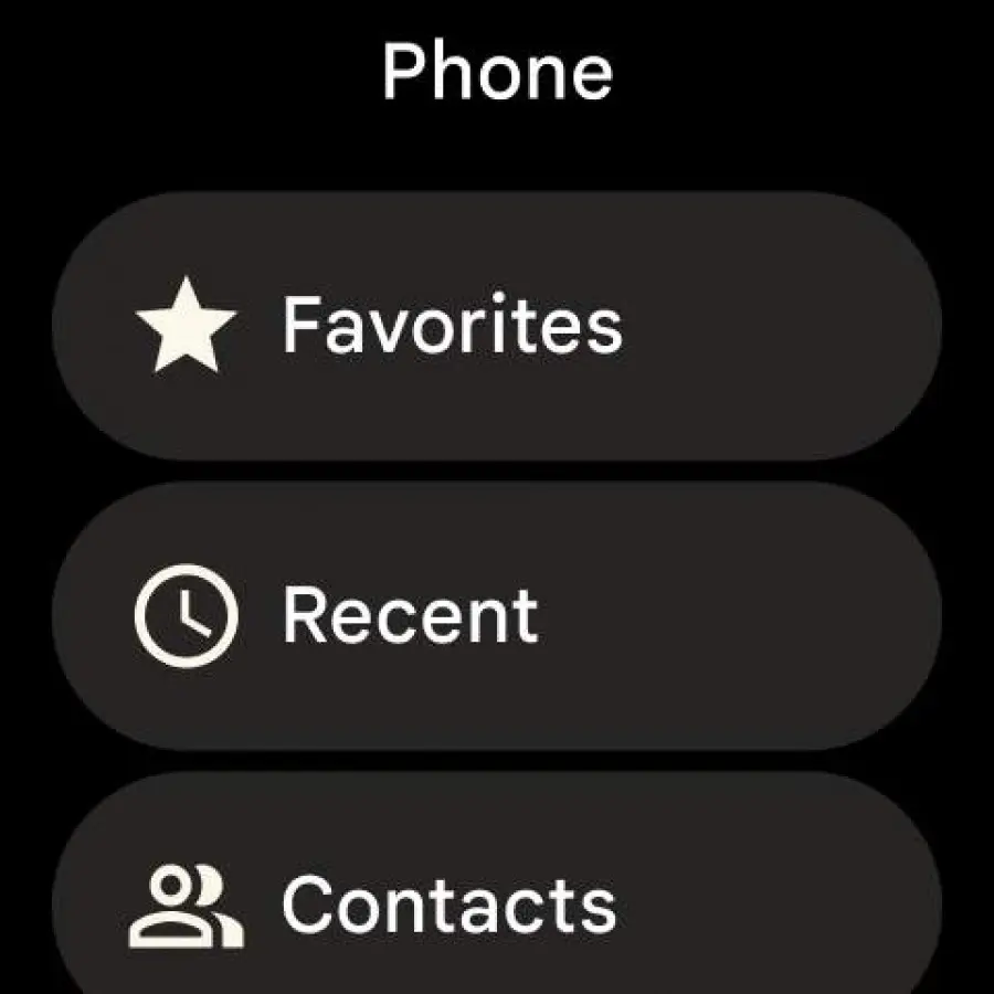 Google Pixel Watch 13 Android phone app