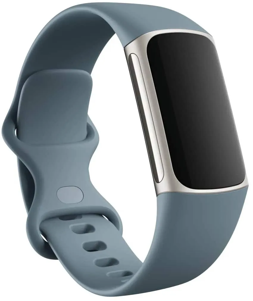 Fitbit Charge 5 7 Fitbit Charge 5 Steel Blue/Platinum