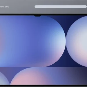 Samsung Galaxy Tab S10 Ultra gray